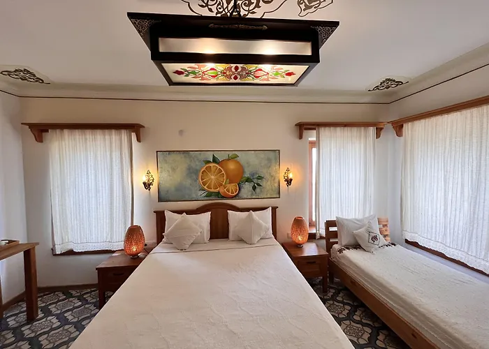 Ξενοδοχείο Eski 4*